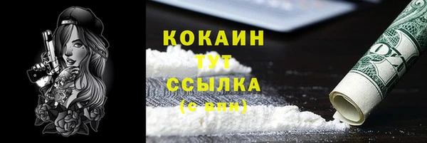 шишки Балахна
