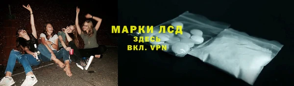 шишки Балахна