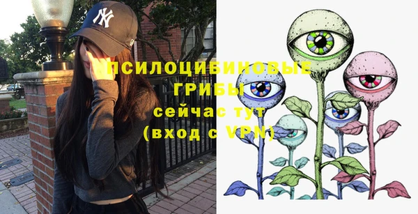 гидропоника Балабаново