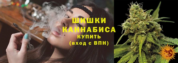 шишки Балахна