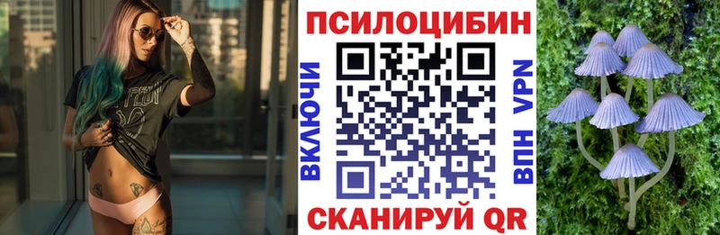 Псилоцибиновые грибы мицелий  Козельск 